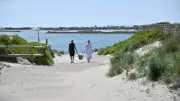Baignade de nouveau autorisée sur toutes les plages de Sète