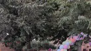 Bal fluo à Plaissan : une soirée réussie au pied de la chapelle rénovée