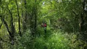 Balade guidée dans le bocage sévéragais le 28 juin