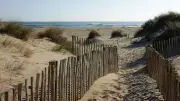 Balade nature sur le littoral vendrois le 4 juillet 2026