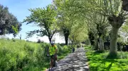 Balade à vélo pour découvrir le terroir et les producteurs locaux
