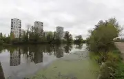 Bassin de la Vilaine : le SAGE sur l'eau menacé par la FNSEA