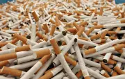 Belgique : six usines clandestines de cigarettes démantelées en 2026
