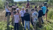Bessan : un potager intergénérationnel fédère les générations