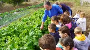 BoCal : une plateforme pour manger local dans le bassin de Thau