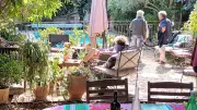 Bonnes pratiques entre voisins pour un été serein à Teyran