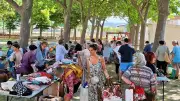 Braderie du CCAS à Roujan : succès grandissant au parc Bastard-Senaux