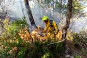 Brûlage dirigé : le feu comme solution contre les incendies