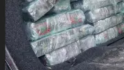 Béziers : 40 kg de cannabis saisis, un Nîmois condamné à 5 ans de prison