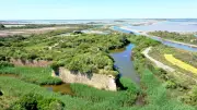 Camargue Unesco : l'association doute du projet de ligne THT
