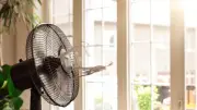 Canicule : 10 astuces pour rafraîchir son logement sans clim ni se ruiner
