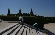 Canicule 2024 : non comparable à celle de 1976, selon Météo-France