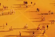 Canicule 2026 : les renoncements politiques pointés du doigt