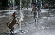 Canicule : 61 départements en alerte rouge, brevet sous 40°C