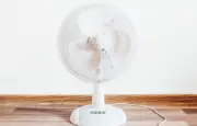 Canicule : bien choisir son ventilateur pour ne pas faire exploser sa facture