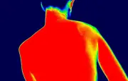 Canicule : comment le corps humain s'adapte-t-il aux fortes chaleurs ?