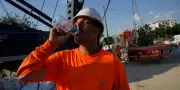 Canicule : fortes chaleurs jusqu'au week-end, 40 °C à 42 °C attendus