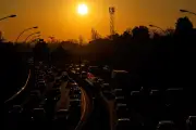 Canicule : « La guerre pour la Terre a commencé »