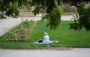 Canicule : la ministre de la Santé redoute des décès à domicile