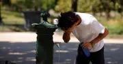 Canicule : le gouvernement minimise l'ampleur de la catastrophe
