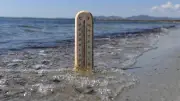 Canicule marine en Méditerranée : 26°C depuis un mois, la faune menacée