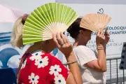 Canicule : pourquoi la chaleur nous rend plus irritables