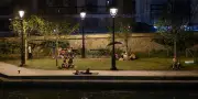 Canicule : récit d'une nuit tropicale où chacun cherche son ombre