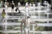 Canicule sur la Côte d'Azur : les urgences maîtrisent l'afflux