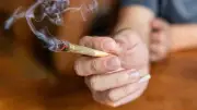 Cannabis médical : remboursement en attente après un bilan mitigé