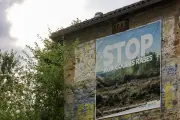 Canopée : méthodes controversées d'une association environnementale