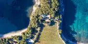 Cassis Grande Terre de Blancs fête 90 ans : l'appellation unique