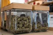 CBD ou cannabis ? À Toulon, le tribunal ordonne des analyses pour trancher