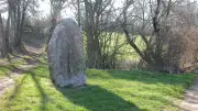 Ces sentinelles du passé veillent sur le Haut-Languedoc