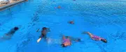 Challenge Guy-Coutel reporté au 28 juin à cause du retard d'ouverture de la piscine