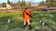 Chasse en Occitanie : ouverture sous tension et défiance