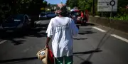 Chlordécone : la cour d'appel confirme le non-lieu