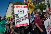 Chlordécone : la cour d'appel de Paris confirme le non-lieu