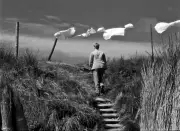 Christian Thorel, l'ombre et la lumière du cinéma