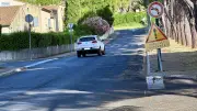 Clermont-l'Hérault : les habitants valident l'arrachage des pins rue Descartes