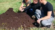 Codognan : 8 tonnes de biodéchets transformés en compost local