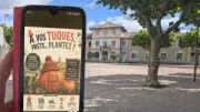 Concours de tuques 2026 à Hérépian : plantez votre courge