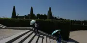 Conférence nationale du handicap reportée à cause de la canicule