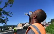 Congé climatique : les Écologistes lancent une pétition pour 5 jours payés par an