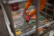 Consigne du verre pour réemploi : un démarrage difficile en France