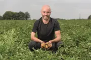 Coopérative U : un modèle coopératif pour une agriculture durable et accessible