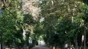 Course solidaire des Chemins de Courbet à Lunel-Viel le 27 septembre