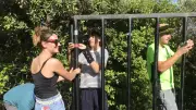 Cuculles en Fête : trois jours de traditions et de convivialité à Saint-Jean-de-Cuculles
