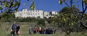 Cévennes : collecte de sang, fauchage et apéro vigneron
