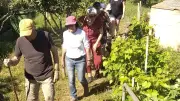 Découverte du verger collectif : écoliers et adultes à Montlaur