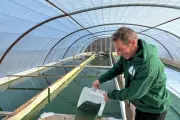 De l'audiovisuel à la spiruline : une reconversion sonore à Carcès